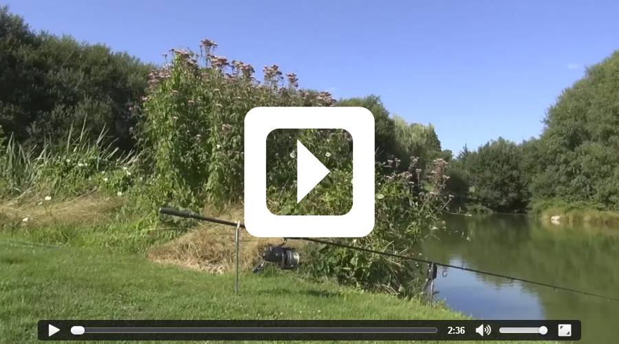 Video thumbnail of 40lb grass carp - fishing video filmed at Etang de Azat-Chatenet carp lake in France