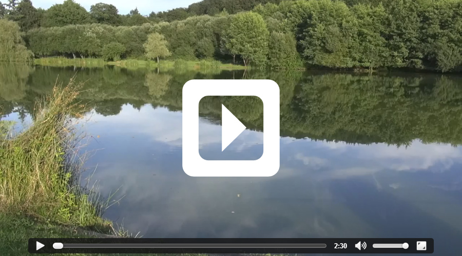 Video thumbnail of 37lb mirror carp - fishing video filmed at Etang de Azat-Chatenet carp lake in France